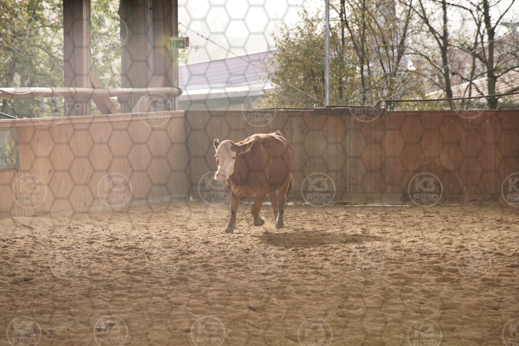 s_K3F08801.JPG